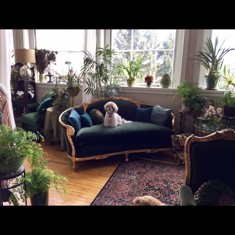 Meet your Posher, Aurora